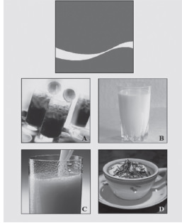 FIGURE 1. Example of flash cards used for the IBAI. The logo of Coca-Cola (co) has been associated to milk, orange juice, chocolate and a carbonated beverage (correct match: image A)