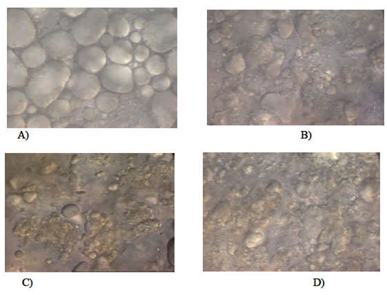 FIGURA 1 Micrografías del puré de aguacate calentado durante 0 (a), 20 (b), 40 (c) y 60 (d) segundos (CDI, 1000X)