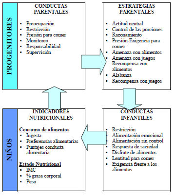 FIGURA 1 Interacciones entre la conducta familiar y alimentación infantil