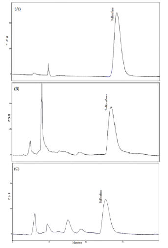 FIGURA 1 Cromatogramas HPLC de la solución estándar de sulforafano (A), inflorescencias de brócoli (B) y repollo morado (C)
