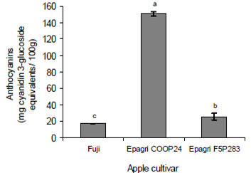 FIGURE 1 Anthocyanin content of apple peels. Values represent mean ± SD. Different letters denote significant differences (p<0.05