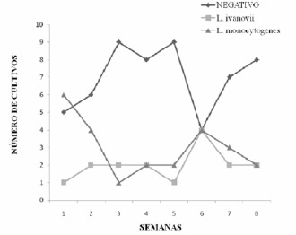 FIGURA 1 Distribución del total de las muestras de tomates según resultados de los cultivos de Listeria spp por semana de recolección