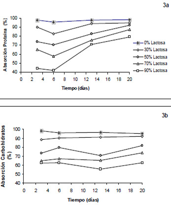 FIGURA 3 Absorción aparente de la proteína y de los carbohidratos dietarios en ratas que consumieron dietas con reemplazos crecientes del almidón por lactosa