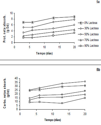 FIGURA 5 Proteína y carbohidratos netos absorbidos en cada período de recolección fecal en ratas que consumieron dietas con reemplazos crecientes del almidón por lactosa
