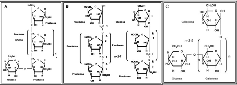 FIGURA 1 Estructura de algunos oligosacáridos prebióticos. A). Inulina, B). Fructooligosacáridos, C). Galactooligosacáridos