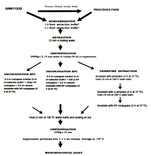FIGURE 1 General flow chart of folate extraction: including preparation, extraction and enzyme treatment procedures prior to folate quantification in different foods