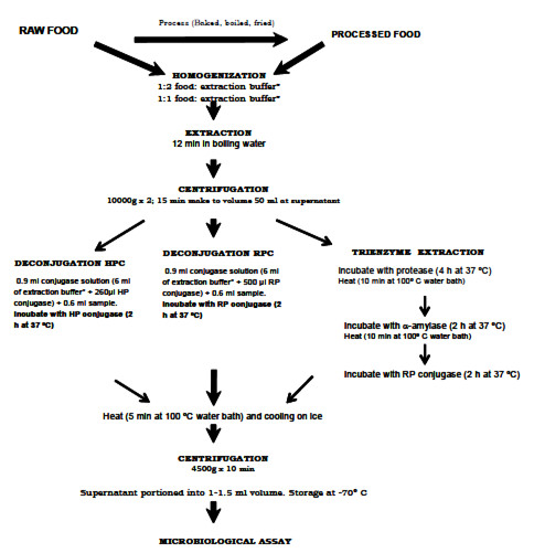 Folate In Foods Chart