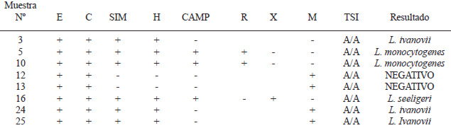 FIGURA 1