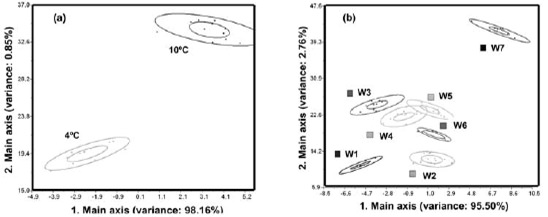 FIGURA 4 Clasificaciones PCA de muestras de queso doblecrema (a) Almacenamiento a diferentes temperaturas (4 y 10ºC). (b) Durante almacenamiento a 10ºC.