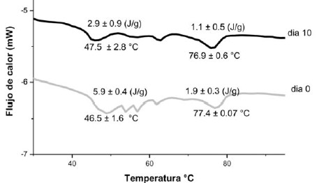 FIGURA 3 Termogramas de DSC de músculo de turbot a tiempo 0 y 10 días de almacenamiento refrigerado (4°C)