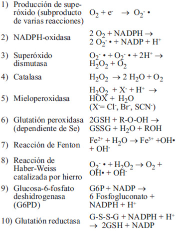 TABLA 2 Reacciones de importancia en relación con la tensión oxidativa en las células sanguíneas y de varios tejidos.