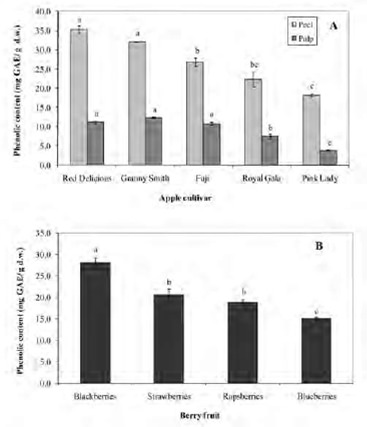 FIGURE 1 Total phenolics content of apples and berries