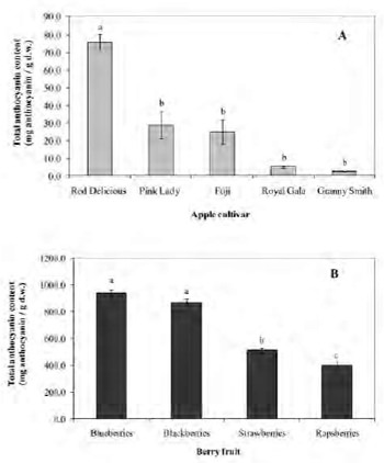 FIGURE 2 Total anthocyanins content of apples and berries