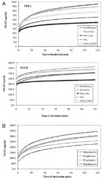 FIGURE 4 Time-course of the Fe2+-TPTZ formation mediated by apple (A) and berries (B) extracts