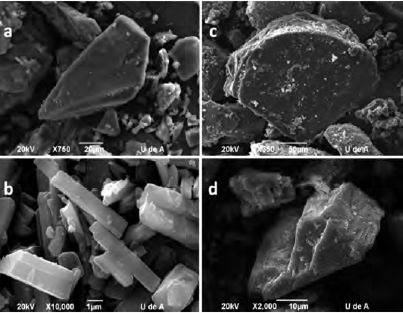 FIGURA 1 Microfotografías electrónicas de los complejos Gly Cu-Zn (a), Gly Mg-Mn (b), Asn Cu-Zn (c) y Asn Mg-Mn (d).