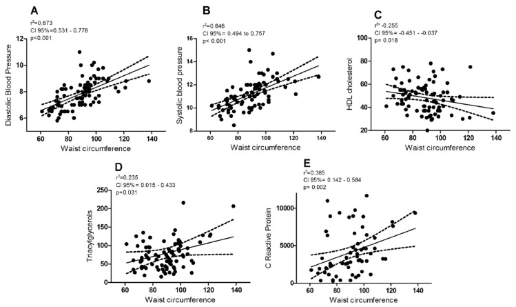 FIGURE 1 Spearman Coefficient of waist circumference and (A) diastolic and (B) systolic blood pressure, (C) high-density lipoprotein cholesterol, (D) triacylglycerols, (E) high-sensitivity C-reactive protein considering 20-40 year old non-obese, obese with no MetS and obese with MetS women, Belo Horizonte, Minas Gerais, Brazil HDL - High-density lipoprotein