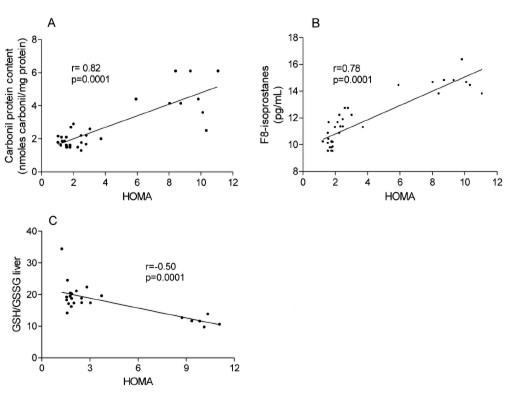 FIGURE 3. Correlation between liver oxidative stress and insulin-resistance in all experimental groups: (A) liver 8-isoprostane and HOMA, (B) liver carbonyl protein and HOMA, (C) GSH/GSSG and HOMA.