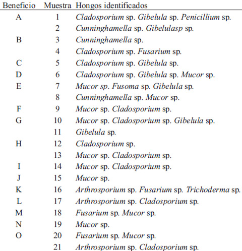 TABLA 1 Resultados del análisis microbiológico realizado a las muestras de café procesado en los beneficios de Chiriquí, Panamá