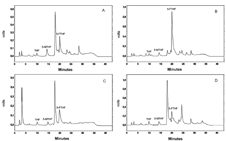 FIGURE 1. Typical chromatograms of the folate isomers in raw and cooked vegetables. (A) Raw spinach; (B) Stir fried spinach; (C) Raw broccoli florets; (D) Boiled broccoli florets. Chromatographic conditions described in Materials and Methods.