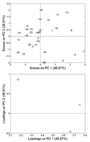 Figure 4 –A – Scores plot SN samples by PCA : SN1-30 A-C (1 to 30) different samples ; B – A – Loads plot SN samples by PCA: 1 – folic acid, 2 – iron and 3 – zinc.