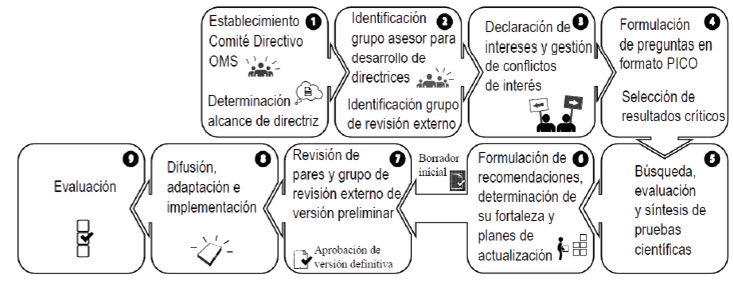 FIGURA 1. Secuencia de pasos en el proceso de elaboración de las directrices de OMS informadas por las pruebas científicas.