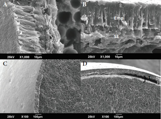 Figura 3. Micrografías obtenidas por barrido electrónico (X10 y X100) de la testa de los granos crudos almacenados por doce meses. A-C: Grano Suave. B-D: Grano Duro. Emp: capa de la empalizada, SE: capa sub-epidérmica, T: testa.