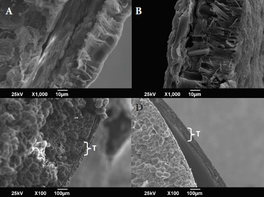 Figura 6. Micrografías obtenidas por barrido electrónico (X550 y X300) de la testa de los granos cocidos almacenados por doce meses. A-C: BTBH. B-D: ATAH. T: Testa