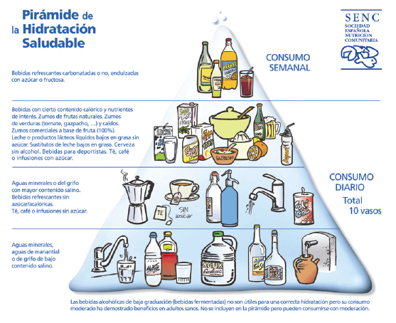 Figura 1. Piramide de la hidratación saludable