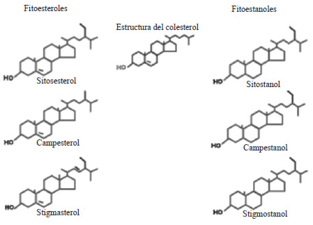 Figura 1. Estructura de los fitoesteroles, fitoestanoles y del colesterol (10).