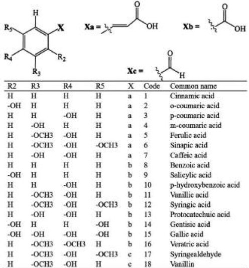 Figure 2. Graphic representation of the common structure of phenolic acids