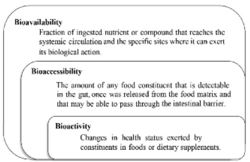 Figure 3.Differences between bioavailability, bioaccessibility and bioactivity concepts