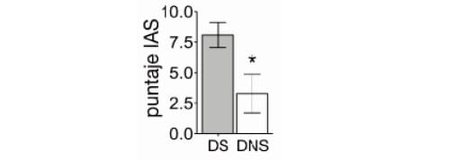 FIGURA 2. Puntaje de IAS para la dieta saludable (DS) y dieta no saludable (DNS)Asterisco indica diferencias significativas (p < 0.05) para comparación entre dietas con test de t.