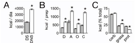 FIGURA 3. Densidad calórica de DS y DNS. (A) Contribución calórica diaria de la dieta saludable (DS) y dieta no saludable (DNS)(B) Densidad calórica promedio por preparación para cuatro comidas diarias (D, desayuno; A, almuerzo; O, once; C, cena) para DS (barras grises) y DNS (barras blancas). (C) Distribución de macronutrientes en dieta saludable y no saludable. Asteriscos indican diferencias significativas (p < 0.05) para comparación entre grupos con test de t corregidas para comparaciones múltiples con corrección de Holm’s.