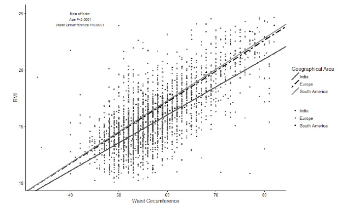 FIGURE 2. Relationship between BMI and Waist Circumference in European, South-American and Indian children.