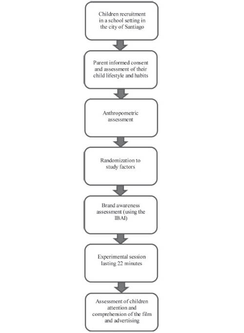 FIGURE 1. Flow-chart of the study procedure.