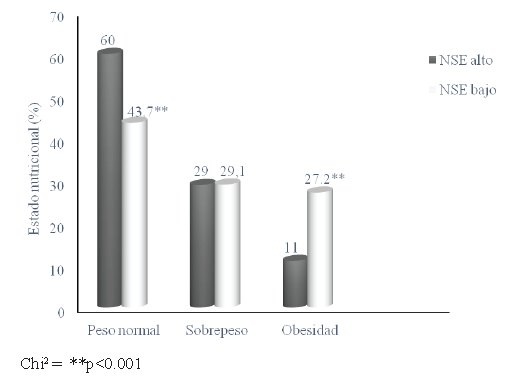 FIGURA 3. Prevalencia de estado nutricional de escolares chilenos (n = 812) según nivel socioeconómico