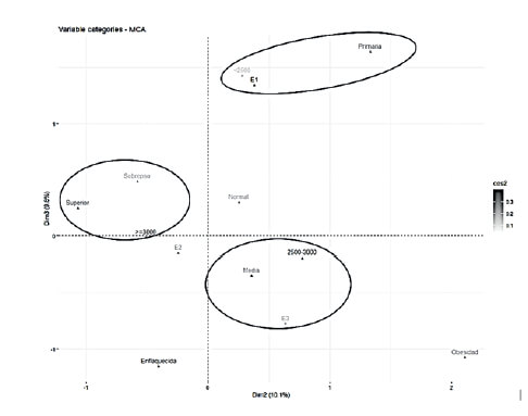 FIGURA 2. Relación de las dimensiones 2 y 3 del análisis de correspondencia múltiple