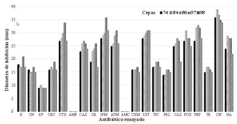 Tabla 3. Características fenotípicas y genotípicas de cepas STEC seleccionadas