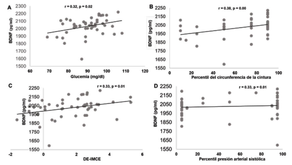 Figura 1. Correlación entre las concentraciones de BDNF y (A) glucosa; r=0,32, p=0,02; (B) percentil de circunferencia de cintura; r=0,38, p=0,00; (C) DE-IMCE; r=0,33, p=0,01; (D) Percentil de presión arterial sistólica; r=0,33, p=0,01.