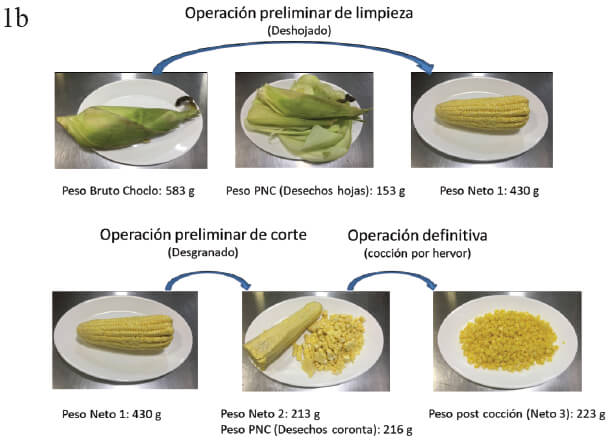 Figura 2. Representación gráfica de los conceptos utilizados para los ITAS