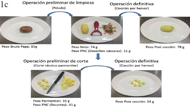 Figura 2. Representación gráfica de los conceptos utilizados para los ITAS