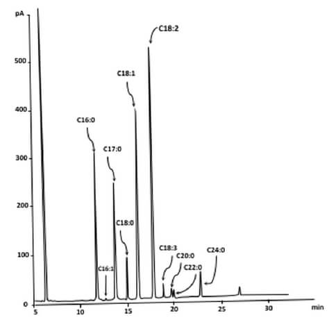 Figura 2. Cromatograma de la composición de ácidos grasos del aceite de la semilla de mezquite.