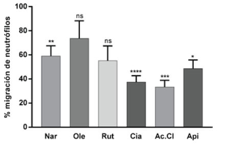 Figura 3. Porcentaje de migración de neutrófilos en larvas expuestas a polifenoles del extracto desgrasado de sofrito de tomate: Naringenina 20μM (Nar) 59,1%, Oleuropeína 150 μM (Ole) 73,7%, Rutina 20 μM (Ru) 55,2%, Cianidina 20 μM (Cia) 37,5%, Ácido Clorogénico 20 μM (Ac.Cl) 33,3% y Apigenina 20 μM (Api) 48,6%. En esta gráfica se compara cada grupo tratado respecto del control que representa el 100% de la migración.