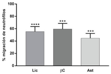 Figura 4. Porcentaje de migración de neutrófilos en larvas expuestas a compuestos carotenoides: Licopeno 20 μM (Lic) 55,4%, Beta-Caroteno 25 μM (β C) 59,6% y Astaxantina 20 μM (Ast) 44,6%.