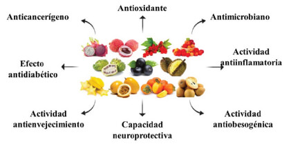 Figura 1. Bioactividad de frutas tropicales