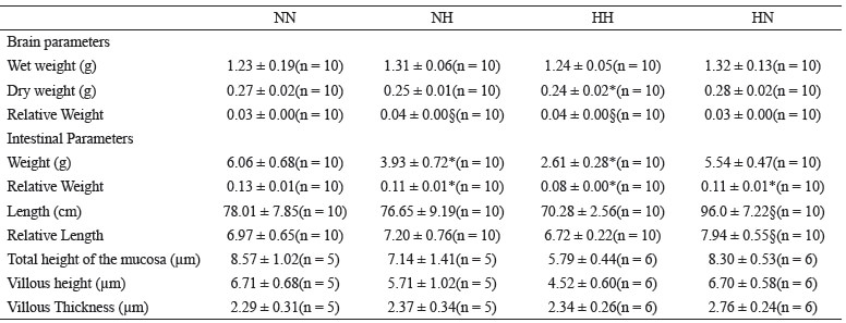 Table 3. Brain weight and parameters of the intestine of rat offspring at the 21 day of life.