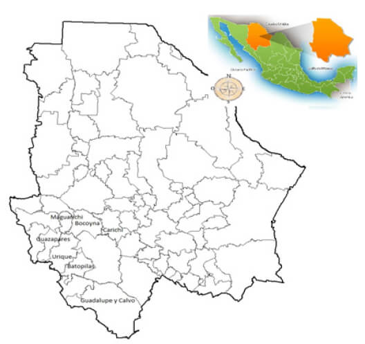 Figura 1. Municipios de la Sierra Tarahumara incluidos en el estudio.