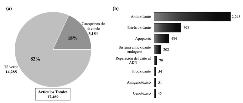 Figura 3: Número de artículos originales publicados del año 2016 al 2021 en las bases PubMed® y Science Direct®. (a) Estudios del té verde y sus catequinas. (b) Propiedades de las catequinas del té verde (CTV). Fuente: Elaboración propia.