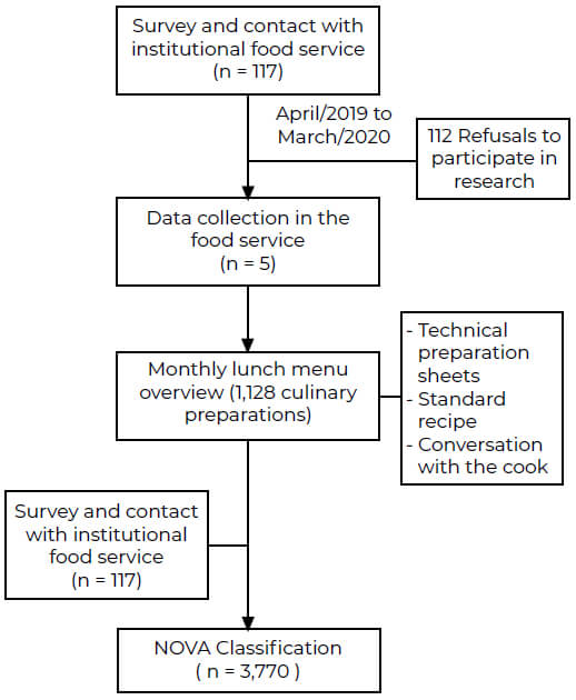 Figure 1. Development stages of the study and the classification of ingredients.