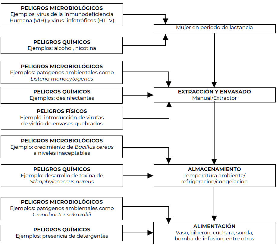 Figura 1: Ejemplos de peligros físicos, químicos y microbiológicos y su ruta de contaminación en leche materna.